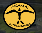 Akamai Intelligence LLC Logo